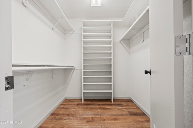 walk in closet with dark wood-type flooring