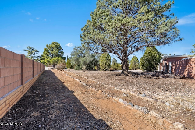 view of yard