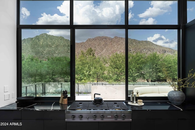 interior details with modern cabinets, a mountain view, and dark cabinetry