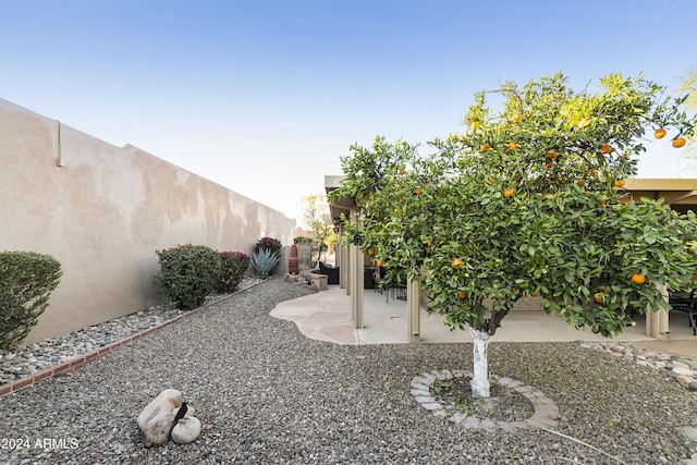 view of yard featuring a patio area