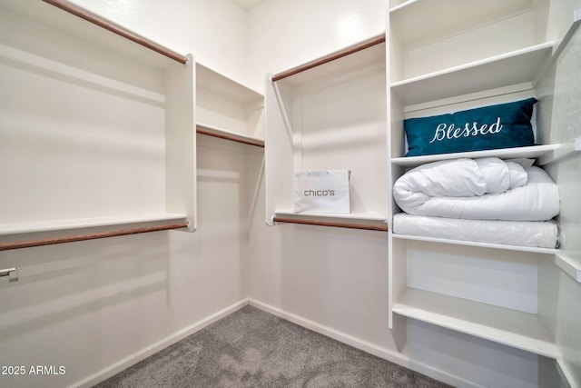 spacious closet featuring carpet