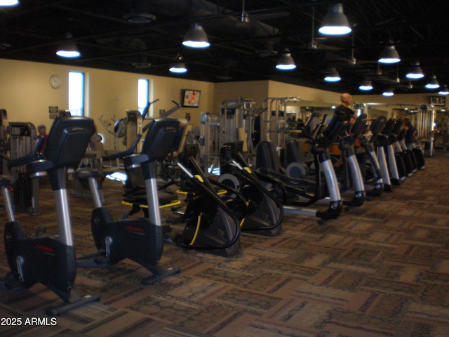 gym with dark colored carpet