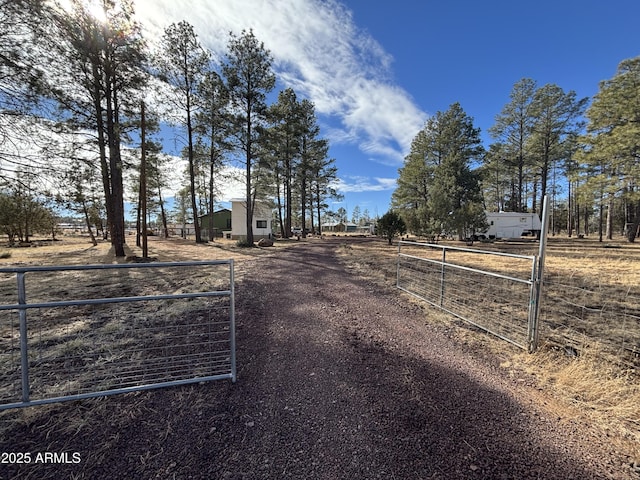 view of street featuring driveway, a gated entry, and a rural view