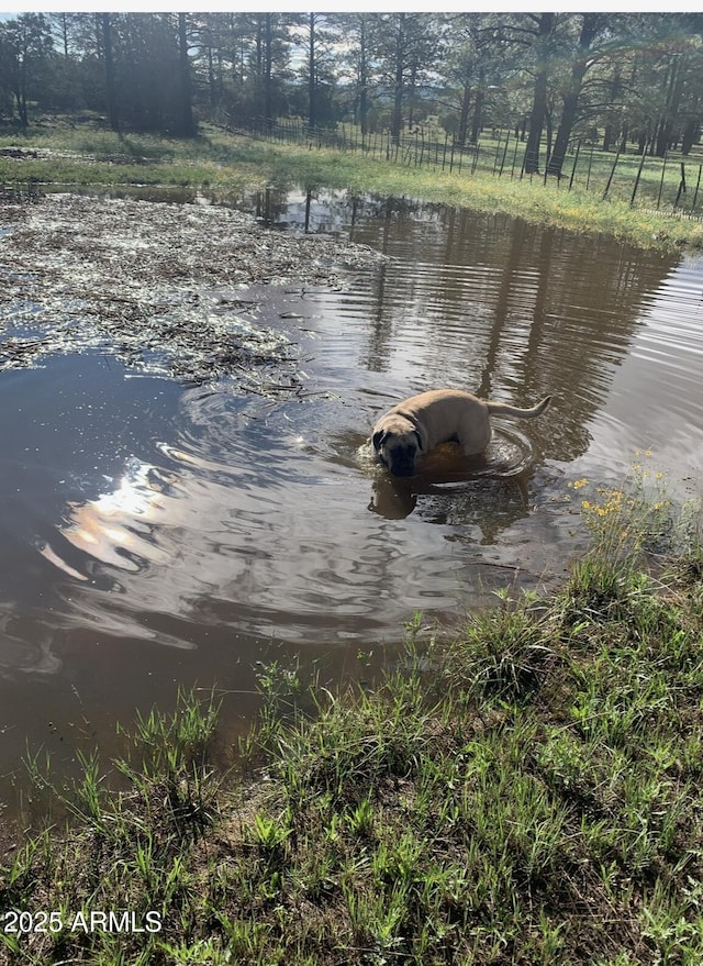 property view of water