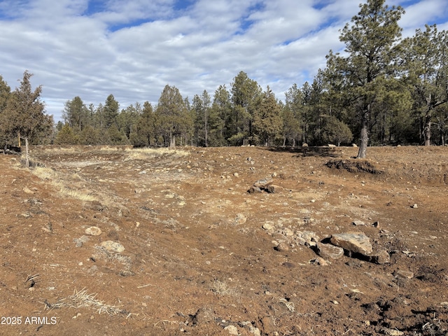 view of local wilderness featuring a view of trees