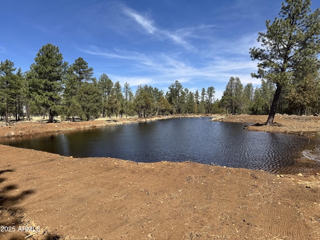3851 W Coyote Dr, Lakeside, AZ 85929 - water view