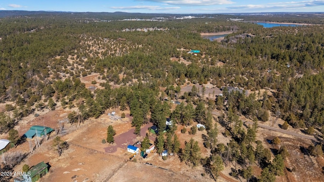 bird's eye view with a water view and a view of trees