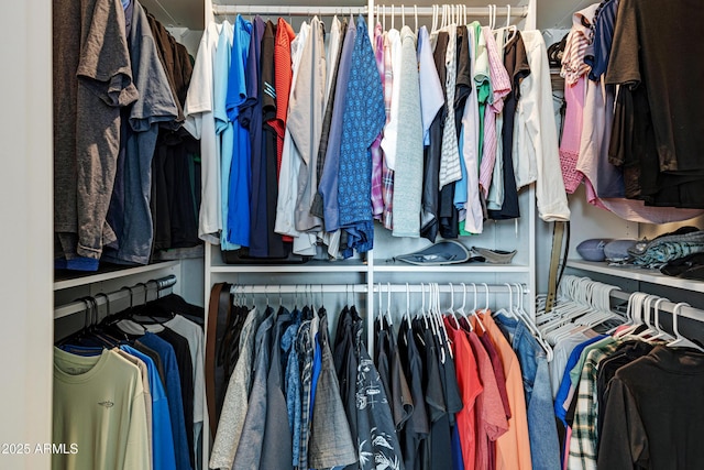view of walk in closet