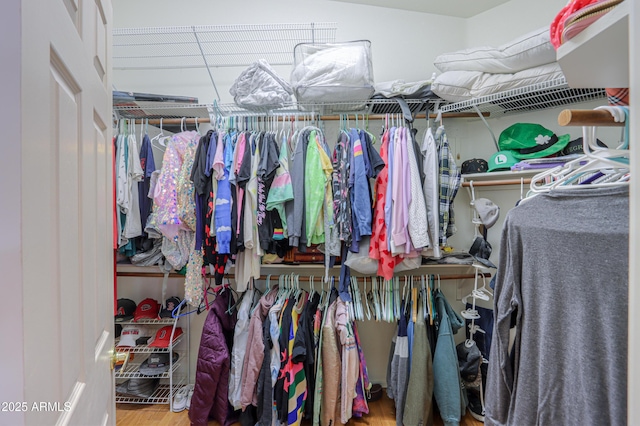 spacious closet with hardwood / wood-style floors