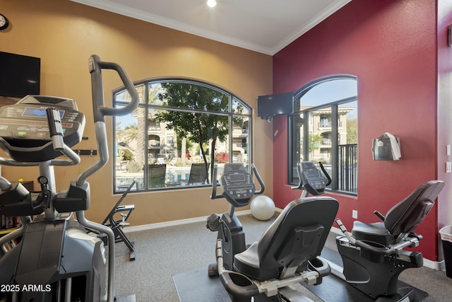 workout area featuring carpet, crown molding, and baseboards