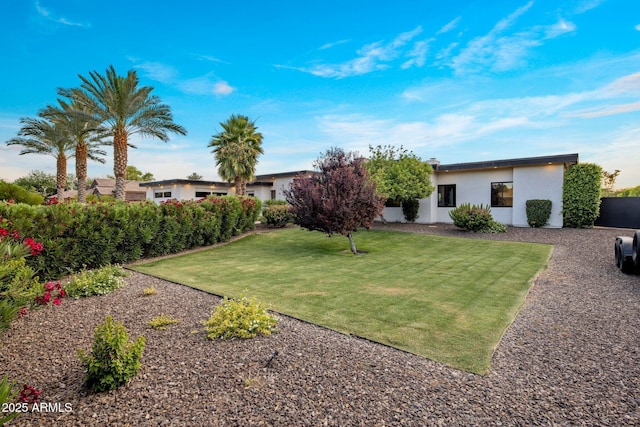9148 N 66th Pl, Paradise Valley, AZ 85253 - view of green lawn