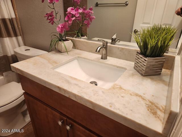 bathroom with vanity, toilet, and curtained shower