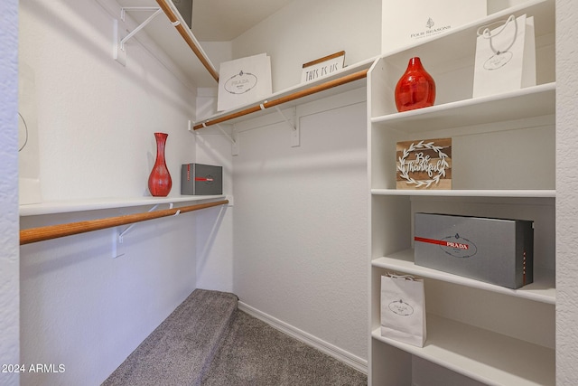 walk in closet featuring carpet floors