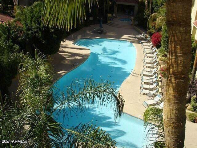 view of pool with a jacuzzi and a patio