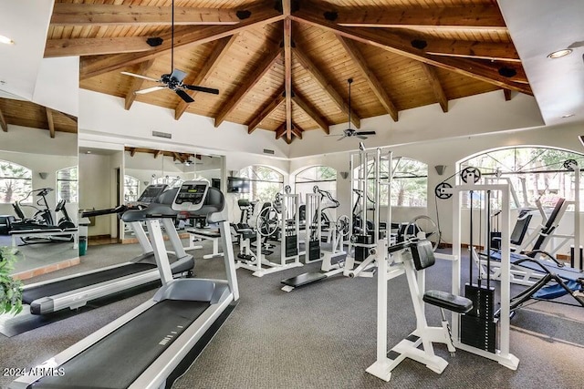 exercise room featuring carpet floors, a wealth of natural light, wooden ceiling, and ceiling fan