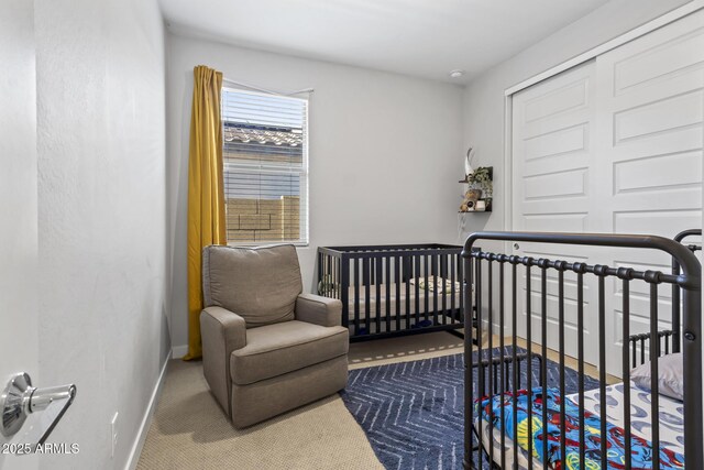 6919 S 13th Pl, Phoenix, AZ 85042 - bedroom with a closet and carpet