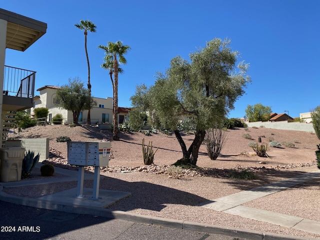 view of yard with mail boxes