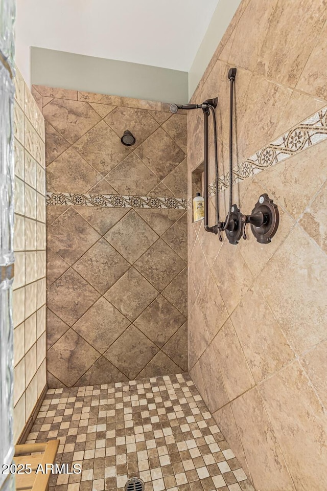 4463 S Oregon Ct, Chandler, AZ 85248 - bathroom with a tile shower