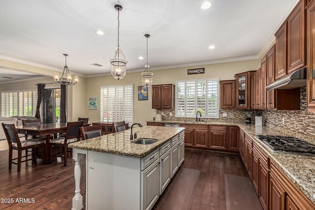 4463 S Oregon Ct, Chandler, AZ 85248 - kitchen featuring a sink, dark wood-style flooring, under cabinet range hood, decorative backsplash, and glass insert cabinets