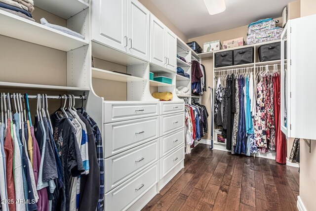 4463 S Oregon Ct, Chandler, AZ 85248 - spacious closet featuring dark wood-type flooring