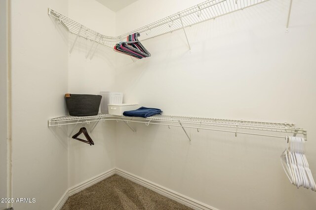 spacious closet featuring carpet floors