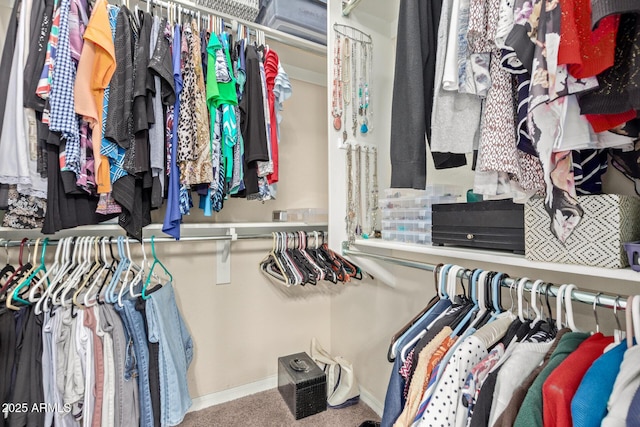 spacious closet with carpet