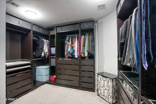 spacious closet with carpet flooring