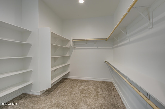 walk in closet featuring carpet flooring