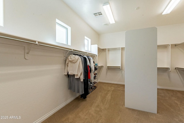 walk in closet with carpet and visible vents