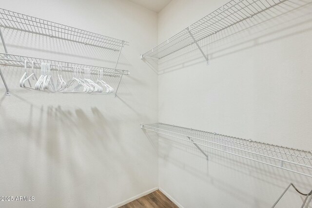 spacious closet featuring wood finished floors