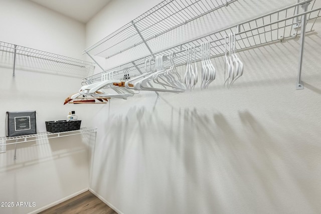 spacious closet featuring wood finished floors