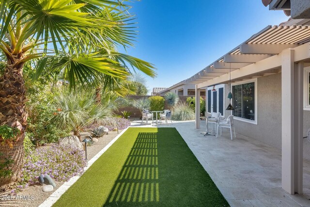 view of yard featuring a fenced backyard and a patio area