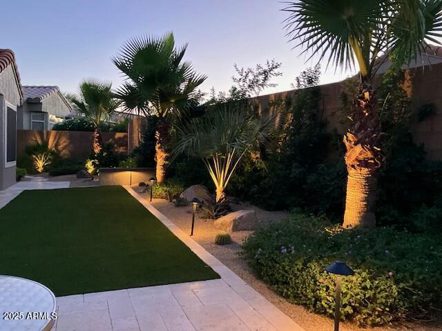 view of yard with a patio area