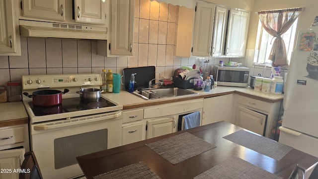 kitchen with under cabinet range hood, white appliances, a sink, light countertops, and backsplash