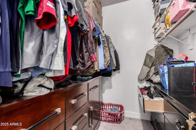 10101 N Arabian Trl Unit 2018, Scottsdale, AZ 85258 - view of walk in closet