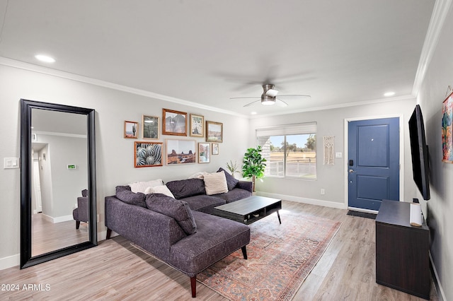 living room featuring ceiling fan, light wood-type flooring, and crown molding