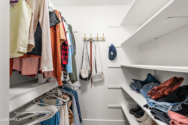 view of spacious closet