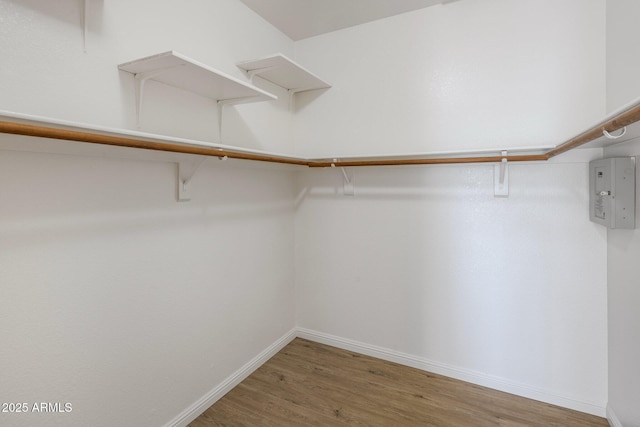 spacious closet featuring electric panel and wood finished floors