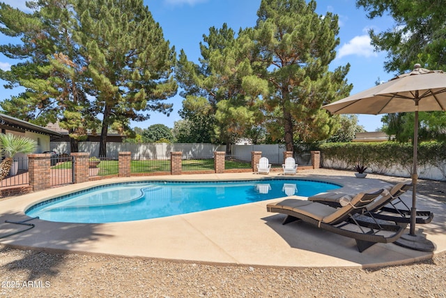 401 E Braeburn Dr, Phoenix, AZ 85022 - view of swimming pool featuring a patio
