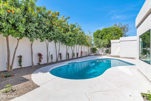 view of swimming pool featuring a fenced in pool, a patio area, and a fenced backyard