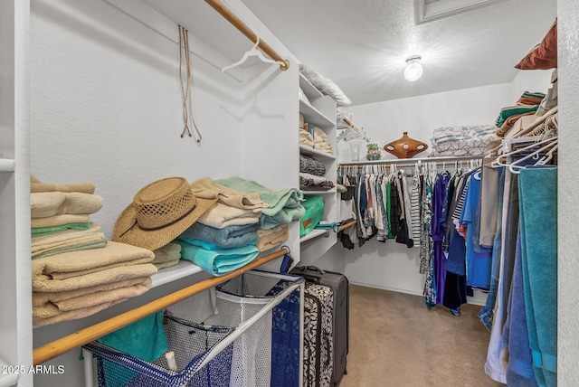 walk in closet with carpet floors