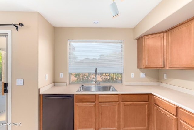 kitchen featuring dishwasher, plenty of natural light, and sink