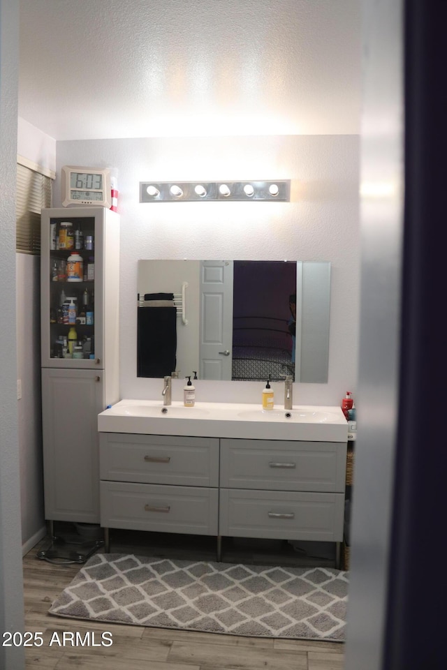 bathroom with wood finished floors, a sink, and double vanity