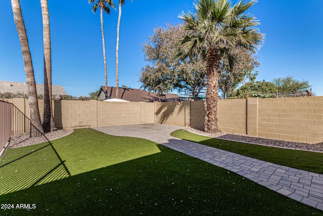 view of yard with a patio