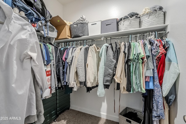 walk in closet featuring carpet flooring