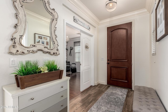 foyer entrance featuring ornamental molding and dark wood finished floors