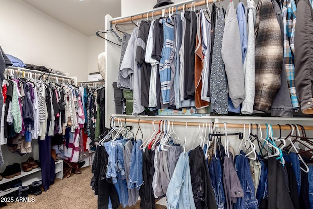 spacious closet featuring carpet flooring