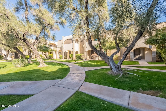 view of property's community with a lawn