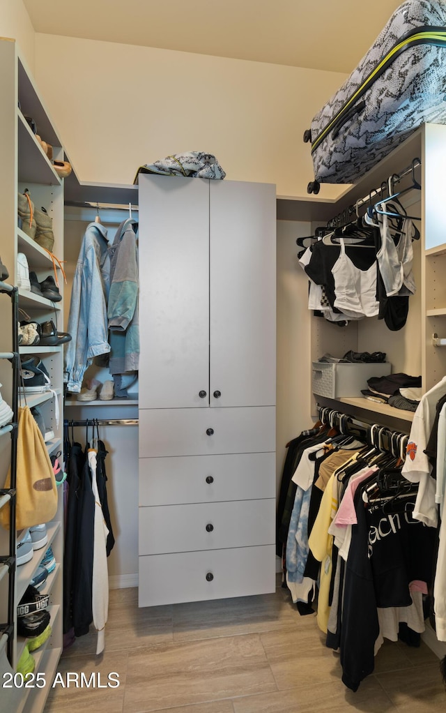 36813 N 109th Way, Scottsdale, AZ 85262 - spacious closet featuring wood finished floors