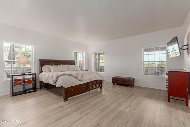 12015 S Tuzigoot Dr, Phoenix, AZ 85044 - bedroom with light wood-style floors, multiple windows, and baseboards